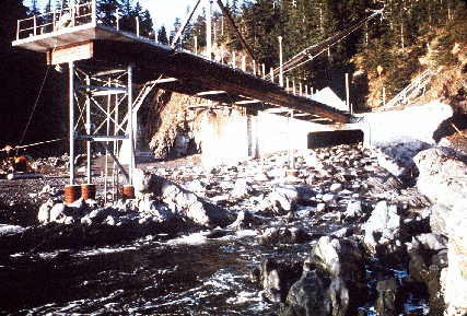 12.	The earthquake raised the landmass of Hinchinbrook Island by eight feet, making this pier accessible to watercraft only at high tide. (U.S. Geodetic Survey)